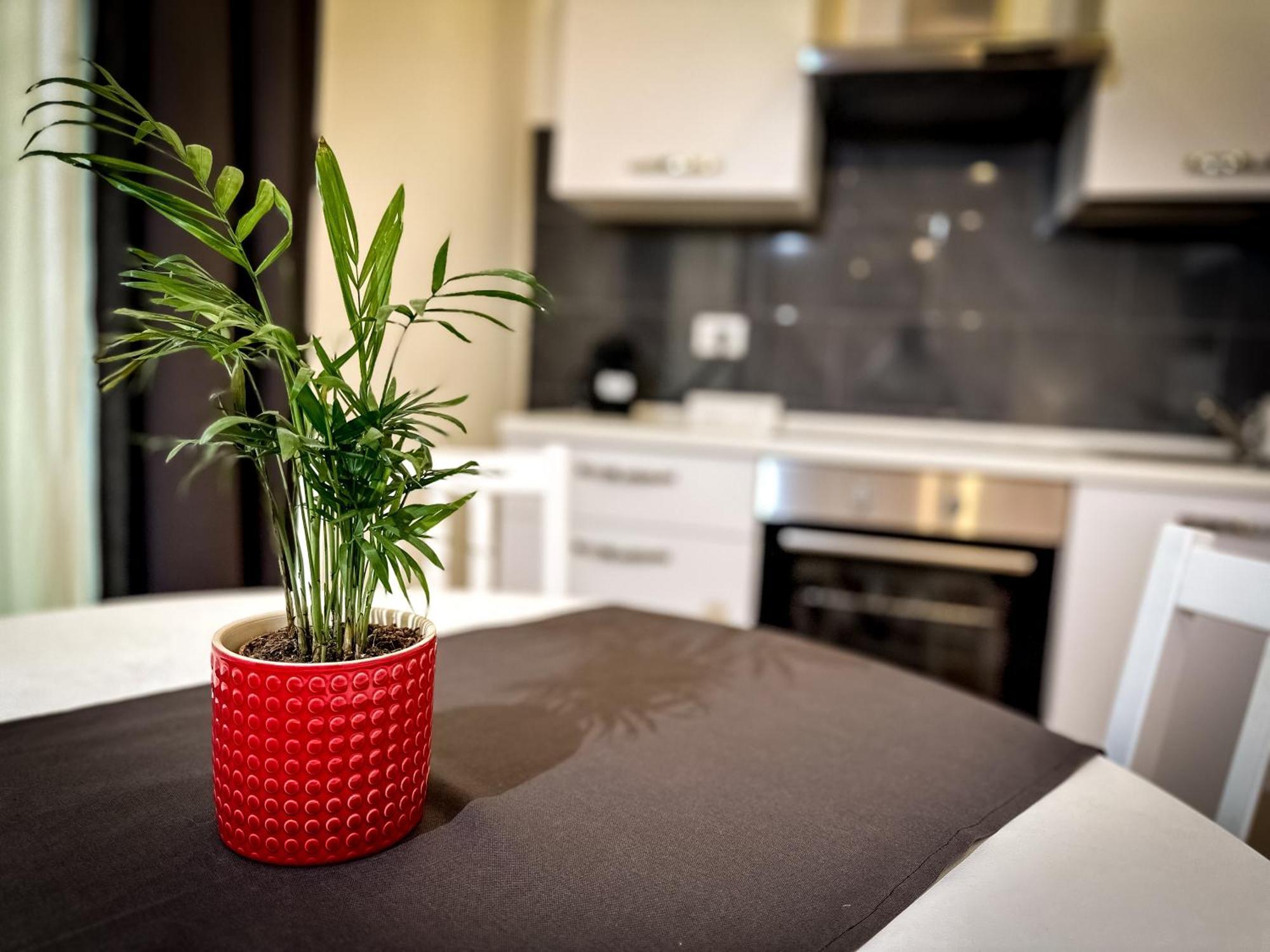 Apartamento Da Rossella Roma Exterior foto